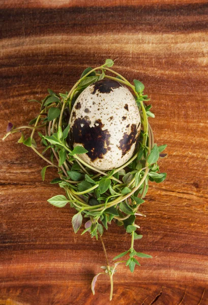 Kwartel ei met tijm op een houten tafel — Stockfoto