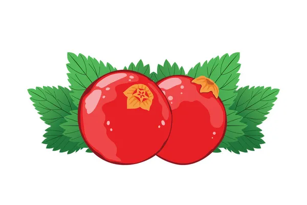 红醋栗浆果 叶子在白色背景上被隔离 — 图库矢量图片