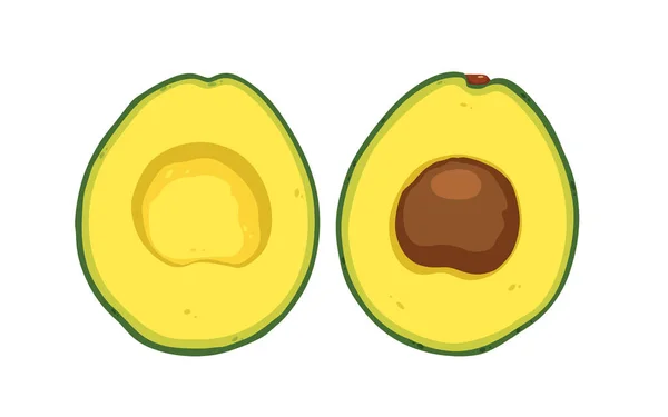 Half Van Een Avocado Geïsoleerd Witte Achtergrond Vector Design — Stockvector