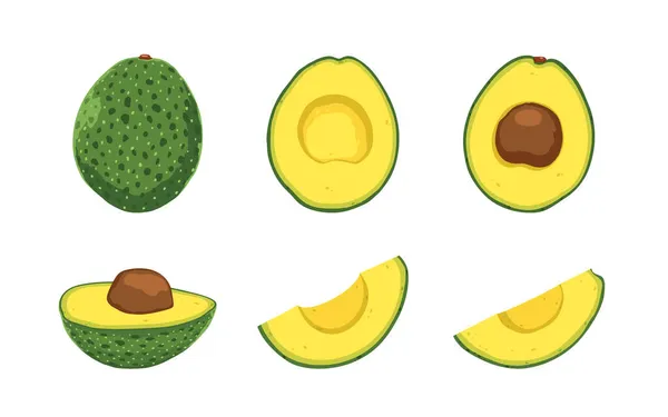 Set Van Avocado Geïsoleerd Witte Achtergrond — Stockvector