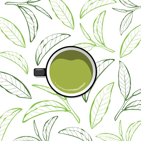 Чашка Зеленого Чаю Листі Зеленого Чаю Фоні Бутона — стоковий вектор