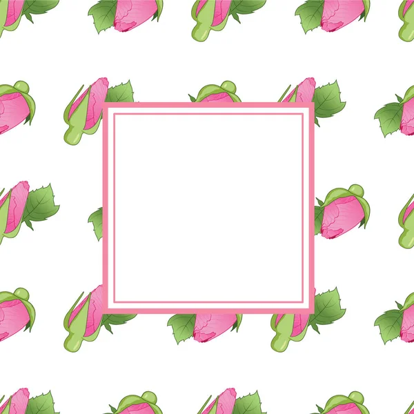 Brotes Rosa Marco Aislado Sobre Fondo Blanco — Vector de stock