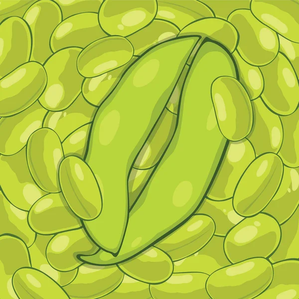 绿豆豆荚上的绿豆壳背景 — 图库矢量图片