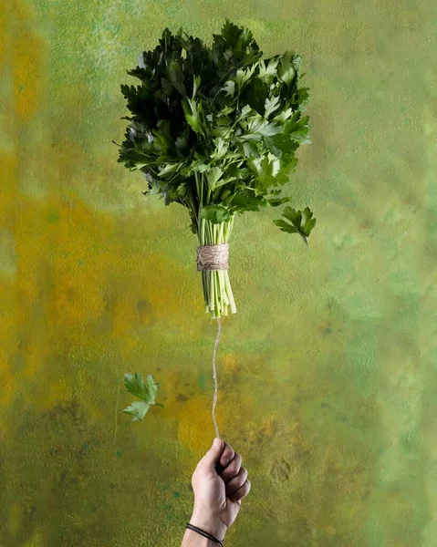 Svazek čerstvé petrželky na zeleném pozadí v podobě balónu v ruce — Stock fotografie