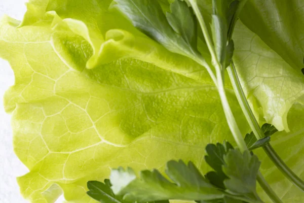 Fresh Lettuces Leaves White Plate White Background — Stock Photo, Image