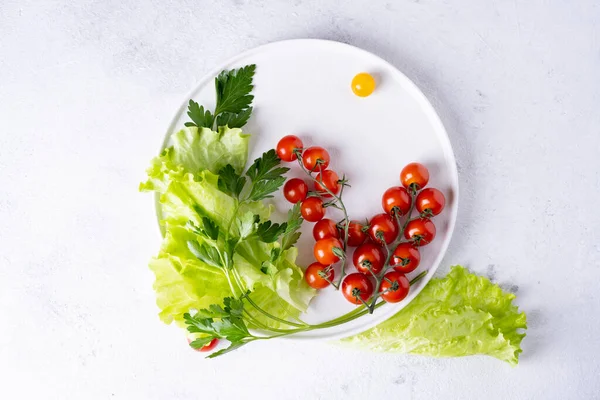 Tomat Dan Peterseli Pada Piring Putih Pada Latar Belakang Putih — Stok Foto