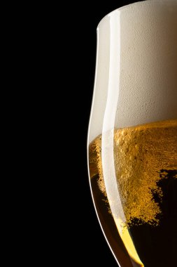 Siyah arka planda bardakta taze bira. Yemek kavramı.