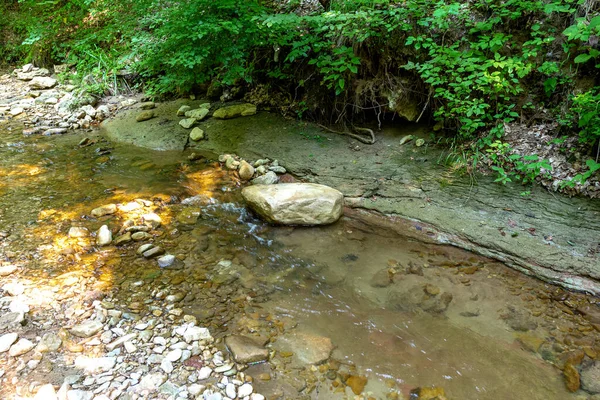 Sezioni Fiume Montagna Passeggiate Lungo Letto Del Fiume Una Giornata — Foto Stock