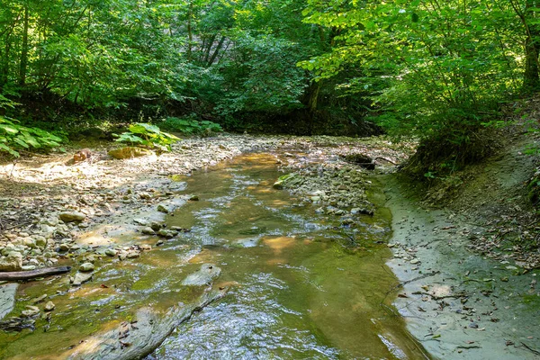 Abschnitte Eines Gebirgsflusses Spaziergänge Flussbett Einem Sonnigen Sommertag Wilde Plätze — Stockfoto