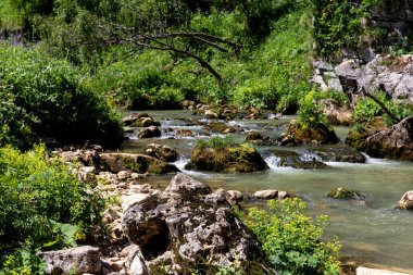 Dağ nehirleri, gezegendeki ekolojik temiz su kaynakları, güneşli bir yaz günü..