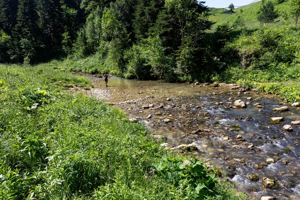 Rivières Montagne Sources Ressources Eau Écologiquement Propres Des Réserves Sur — Photo