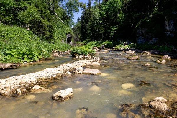 Гірські Річки Джерела Екологічно Чистих Ресурсів Водних Заповідників Планеті Сонячний — стокове фото