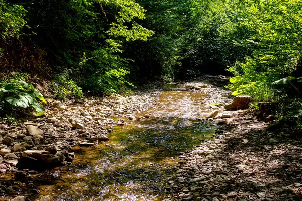 Гірські Річки Джерела Екологічно Чистих Ресурсів Водних Заповідників Планеті Сонячний — стокове фото