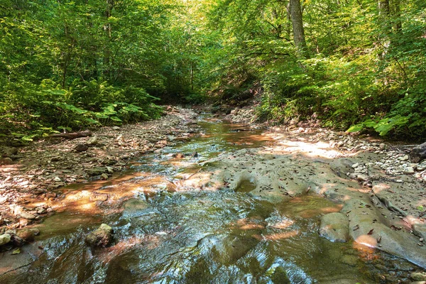 Gebirgsflüsse Quellen Ökologisch Sauberer Wasserreserven Auf Dem Planeten Ein Sonniger — Stockfoto