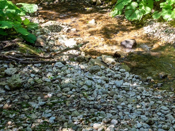 山の川 地球上の水資源の生態学的にきれいな源 晴れた夏の日 — ストック写真