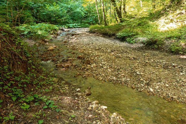 Una Zona Parque Largo Del Lecho Río Montaña Paseos Día — Foto de Stock