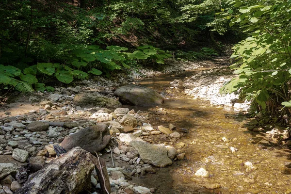 Uma Área Parque Longo Cama Rio Montanha Passeios Dia Ensolarado — Fotografia de Stock