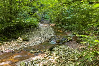 Dağ sıraları, kaynaklar, dağ nehri kıyısında yürüyüş yolları, doğal kayalar, arka planlar, dağlık arazinin panoramik manzaraları..