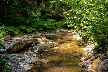 Dağ sıraları, kaynaklar, dağ nehri kıyısında yürüyüş yolları, doğal kayalar, arka planlar, dağlık arazinin panoramik manzaraları..