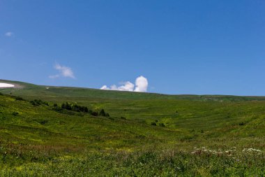 Dağ nehrinin yatağı boyunca bir park alanı güneşli bir yaz gününde yürür, doğayla iletişim kurulacak yerler..