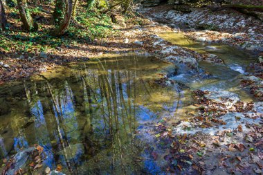 Dağlarda sonbahar, bir dağ nehri, sakin bir akıntı, güneşli bir sabah, düşen yapraklar, suda bir yansıma..