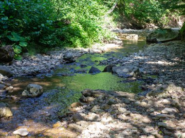 Dağ nehirleri, gezegendeki ekolojik temiz su kaynakları, güneşli bir sonbahar sabahı..