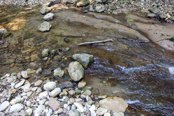 Gebirgsflüsse Quellen Ökologisch Sauberer Wasserreserven Auf Dem Planeten Sonniger Herbstmorgen — Stockfoto
