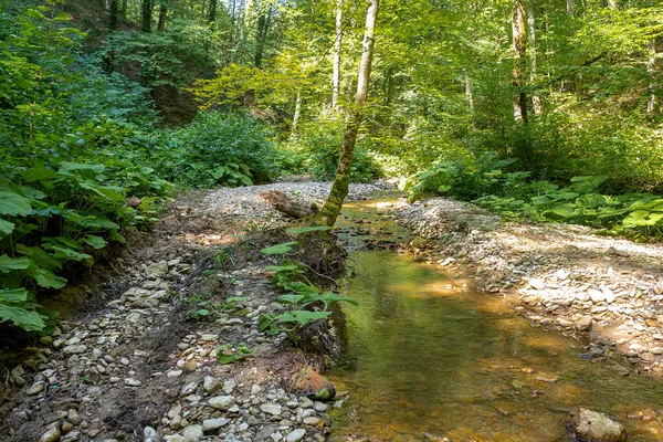 Rios Montanha Fontes Recursos Ecologicamente Limpos Reservas Água Planeta Manhã — Fotografia de Stock