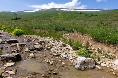 Dağ nehirleri, gezegendeki ekolojik temiz su kaynakları, güneşli bir yaz günü..