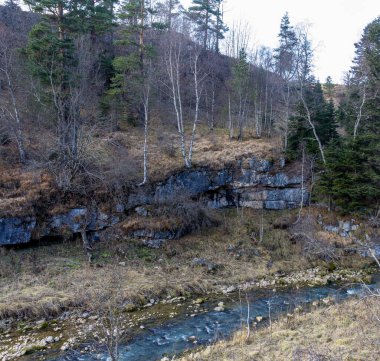 Bir sonbahar günü, bir dağ nehrinin yatağında yolculuk ederken doğa kış uykusuna hazırlanıyor..