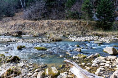 Bir sonbahar günü, bir dağ nehrinin yatağında yolculuk ederken doğa kış uykusuna hazırlanıyor..