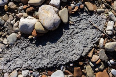 Sonbahar, sabah güneşinin altında, bir dağ nehrinin sığ kumlu dibi, yakın çekim..