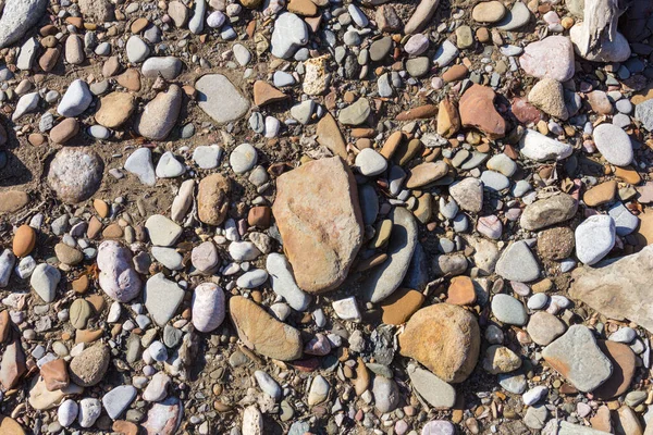 Outono Fundo Raso Pedra Arenoso Rio Montanha Nos Raios Sol — Fotografia de Stock