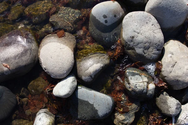 Sonbahar, sabah güneşinin altında, bir dağ nehrinin sığ kumlu dibi, yakın çekim..