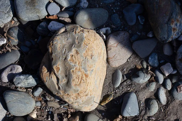 Autunno Fondale Poco Profondo Sabbioso Fiume Montagna Sotto Raggi Del — Foto Stock