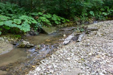Dağ nehirleri, gezegendeki ekolojik temiz su kaynakları, güneşli bir yaz günü..