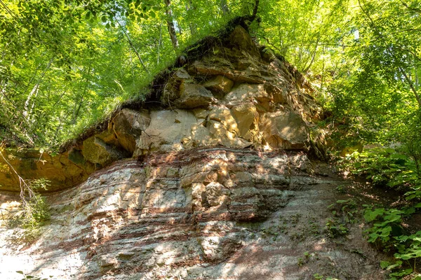 Гірські Річки Джерела Екологічно Чистих Ресурсів Водних Заповідників Планеті Сонячний — стокове фото