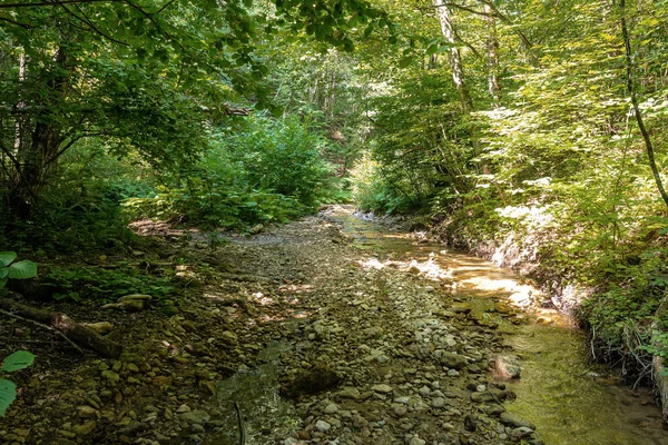 Гірські Річки Джерела Екологічно Чистих Ресурсів Водних Заповідників Планеті Сонячний — стокове фото