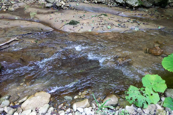 Ορεινοί Ποταμοί Πηγές Οικολογικά Καθαρών Υδάτινων Πόρων Στον Πλανήτη Μια — Φωτογραφία Αρχείου