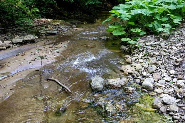 Bergrivieren Bronnen Van Ecologisch Schone Bronnen Van Waterreserves Planeet Een — Stockfoto