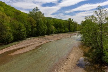 Dağ nehrinin yatağı boyunca bir park alanı güneşli bir yaz gününde yürür, doğayla iletişim kurulacak yerler..