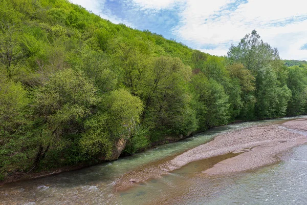 Een Parkgebied Langs Bedding Van Een Bergrivier Wandelingen Een Zonnige — Stockfoto