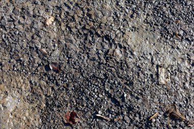 Sonbahar, sabah güneşinin altında, bir dağ nehrinin sığ kumlu dibi, yakın çekim..