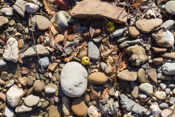 Der Herbst Der Flache Stein Sandboden Eines Gebirgsflusses Den Strahlen — Stockfoto