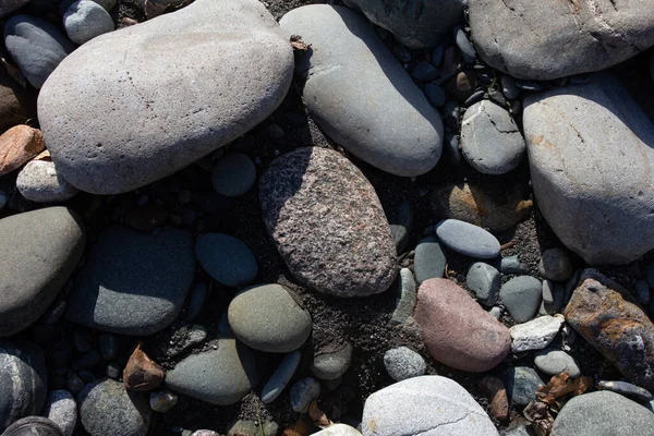 Hösten Den Grunda Sten Sandbotten Bergsflod Solens Strålar Närbild — Stockfoto