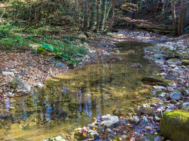 Dağlardaki sonbahar parkında seyahat et, doğal değişiklikleri izle ve nehir yatağının ve sahil şeridinin manzarasına hayran ol..