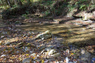 Dağlardaki sonbahar parkında seyahat et, doğal değişiklikleri izle ve nehir yatağının ve sahil şeridinin manzarasına hayran ol..