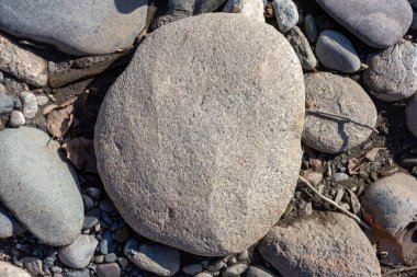 Sonbahar, sabah güneşinin altında, bir dağ nehrinin sığ kumlu dibi, yakın çekim..