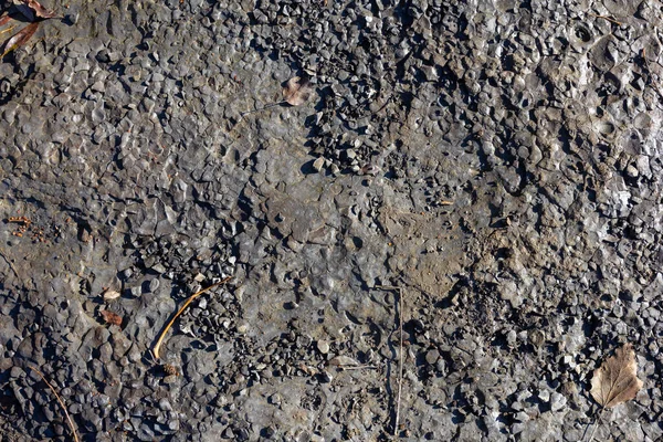 Φθινόπωρο Ρηχός Πέτρινος Αμμώδης Βυθός Ενός Ορεινού Ποταμού Στις Ακτίνες — Φωτογραφία Αρχείου