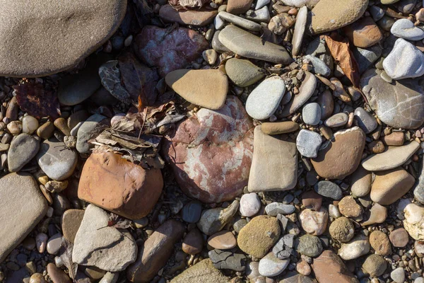 Der Herbst Der Flache Stein Sandboden Eines Gebirgsflusses Den Strahlen — Stockfoto